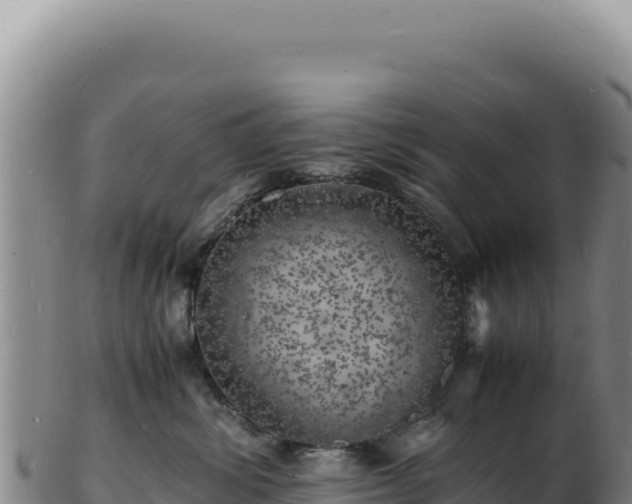X0000103250428200809041113