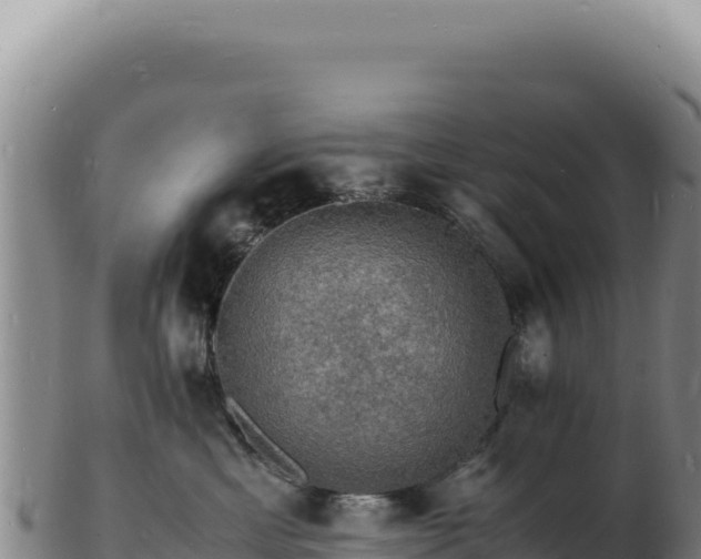 X0000103250429200809041113
