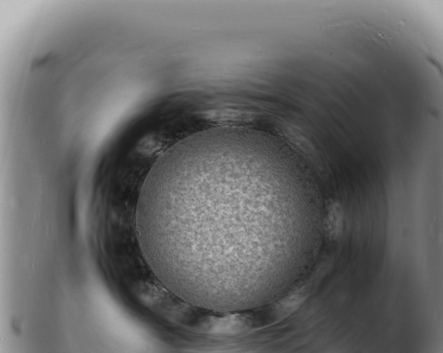 X0000103250430200809041113