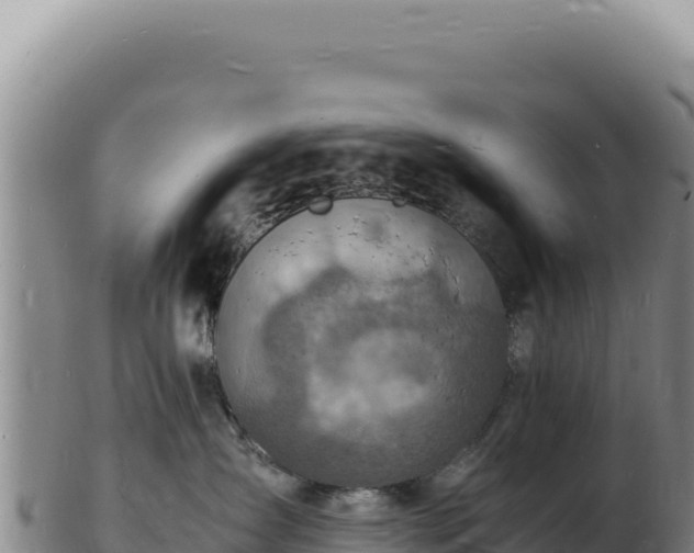 X0000103250431200809041113