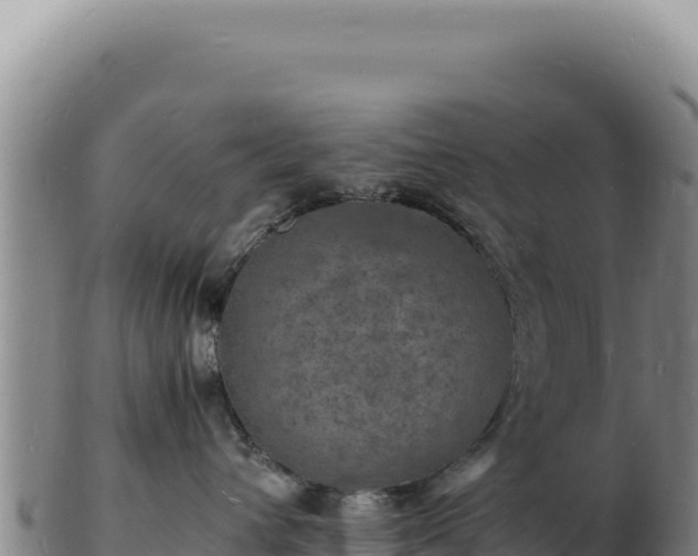 X0000103250432200809041113