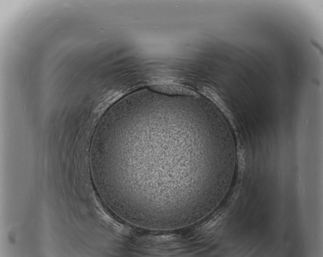 X0000103250433200809041112
