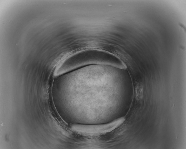 X0000103250436200809041112