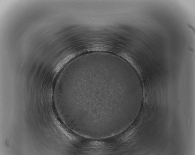 X0000103250437200809041112
