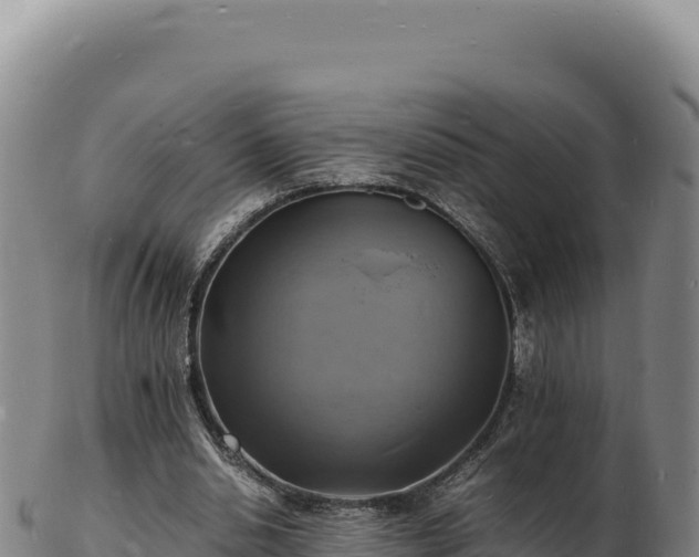 X0000103250438200809041112