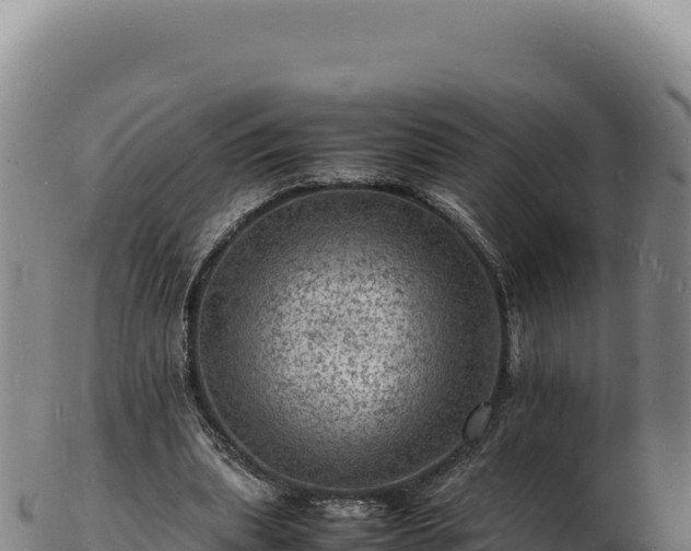 X0000103250439200809041112