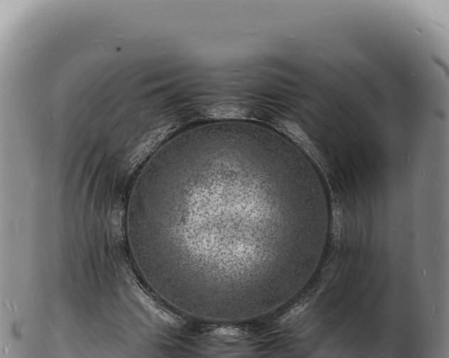 X0000103250441200809041112