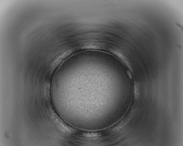 X0000103250445200809041112