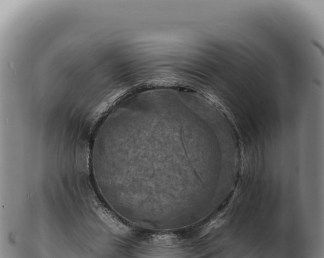 X0000103250446200809041112