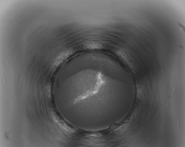 X0000103250447200809041112