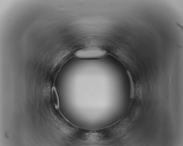 X0000103250448200809041112