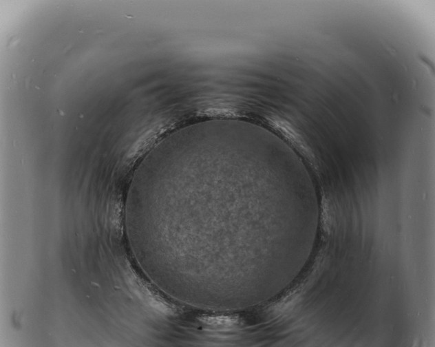 X0000103250449200809041112