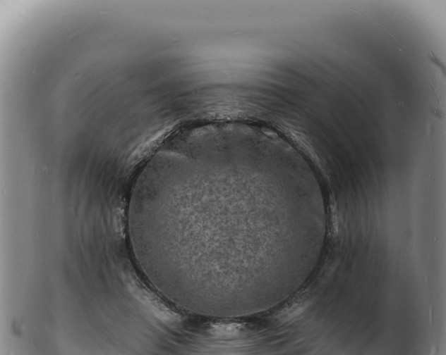 X0000103250450200809041112
