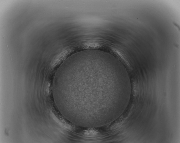 X0000103250451200809041112