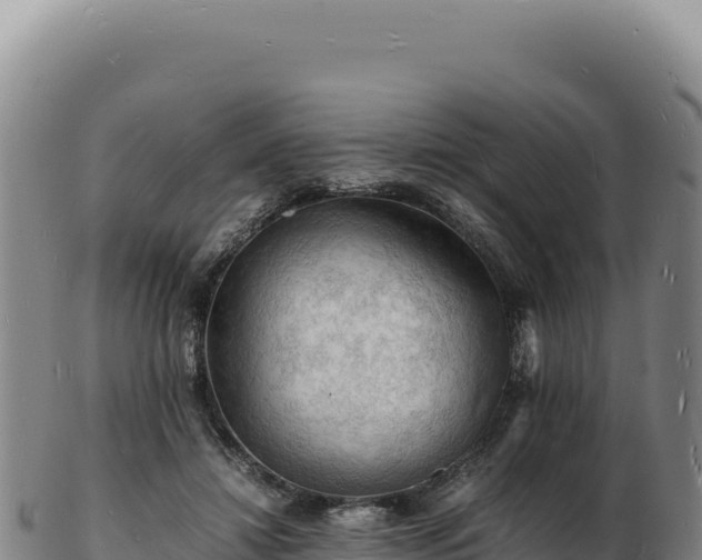 X0000103250452200809041112