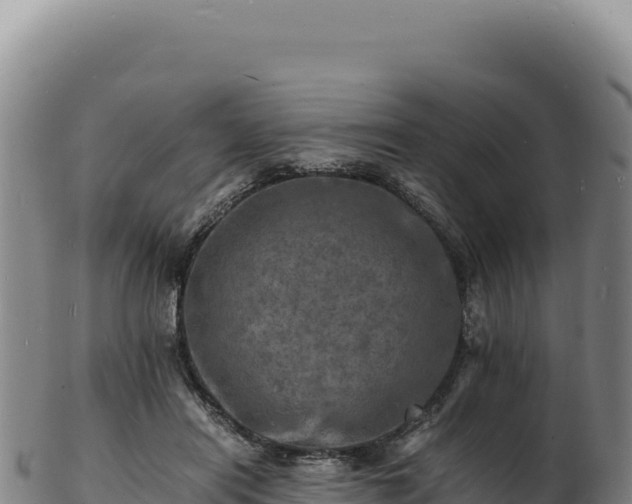 X0000103250454200809041112