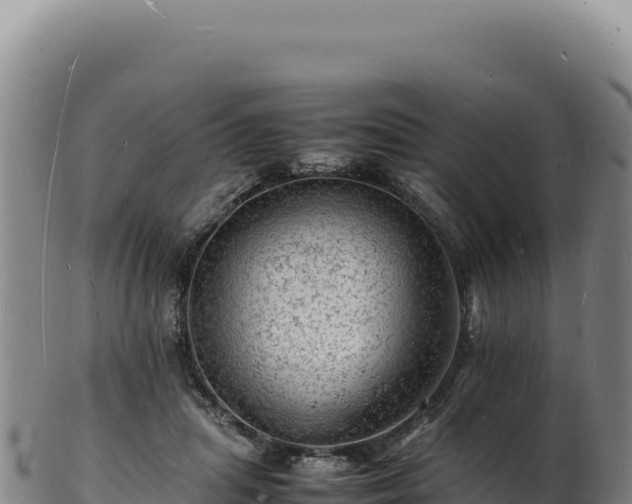 X0000103250455200809041112