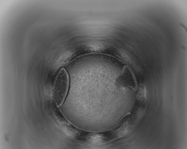 X0000103250456200809041112