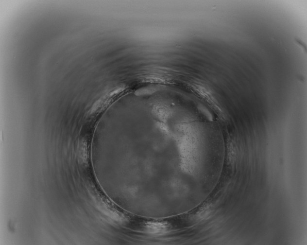 X0000103250457200809041112