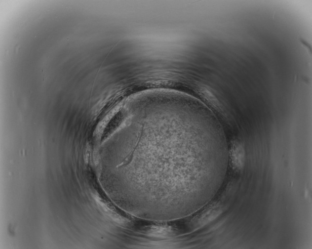 X0000103250458200809041112