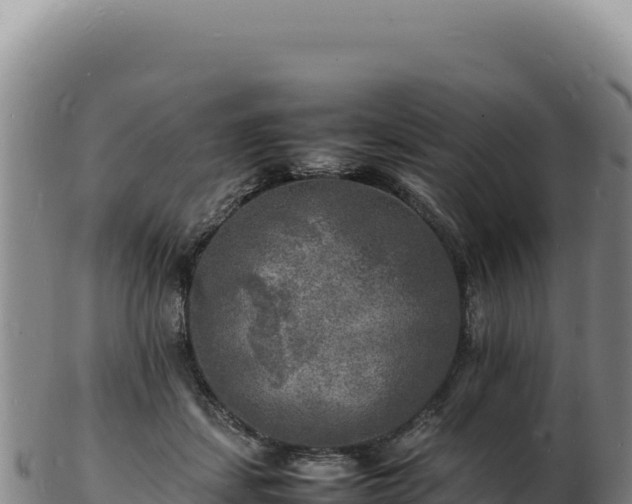 X0000103250459200809041112