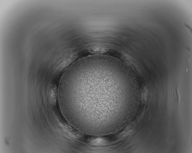X0000103250460200809041112