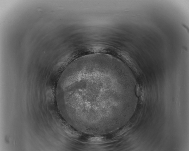 X0000103250461200809041112