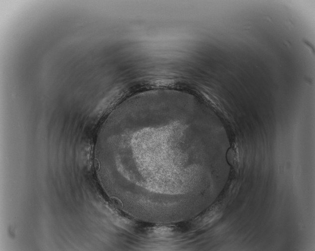 X0000103250462200809041113