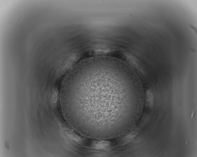 X0000103250463200809041113