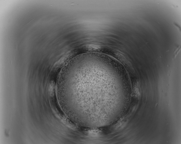 X0000103250468200809041113
