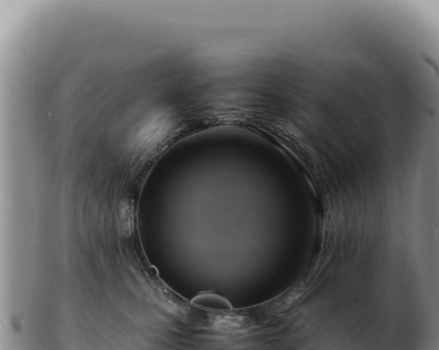 X0000103250471200809041113