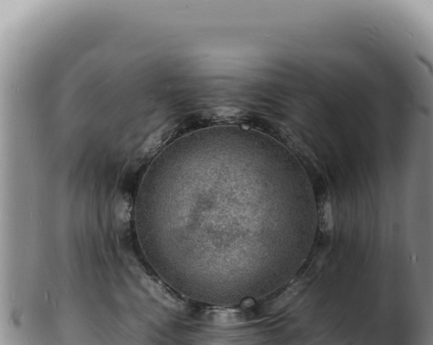 X0000103250472200809041113
