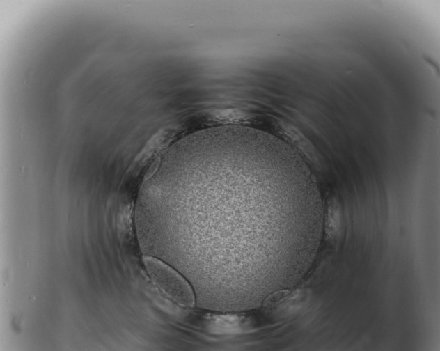 X0000103250473200809041113
