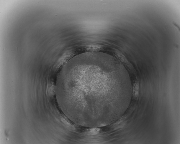 X0000103250474200809041113