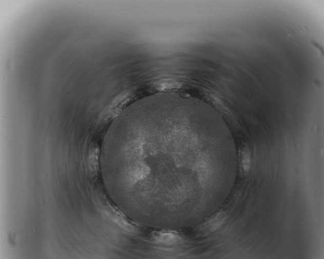 X0000103250475200809041113