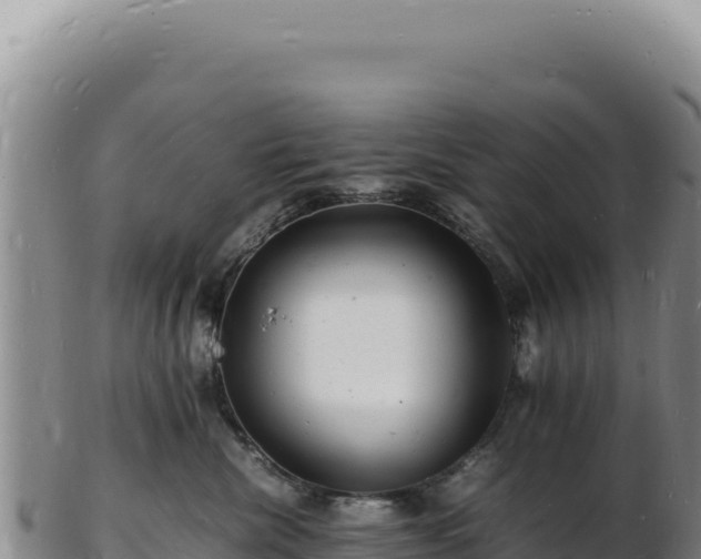 X0000103250476200809041113