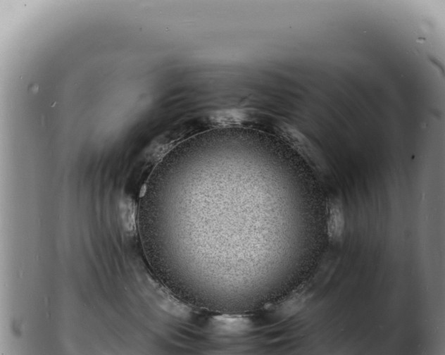 X0000103250477200809041113