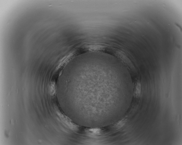 X0000103250478200809041113