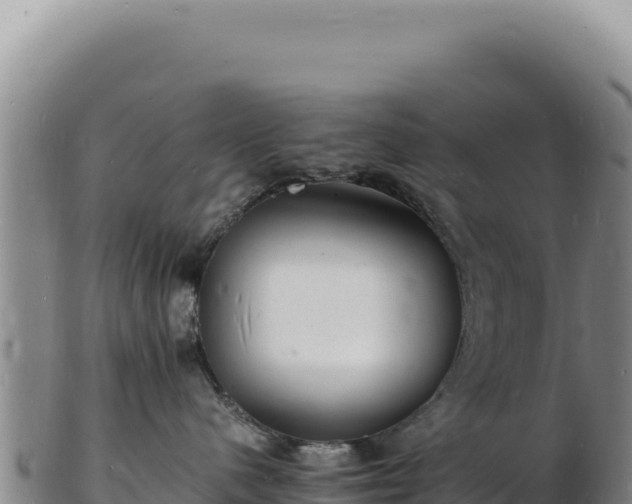 X0000103250480200809041113