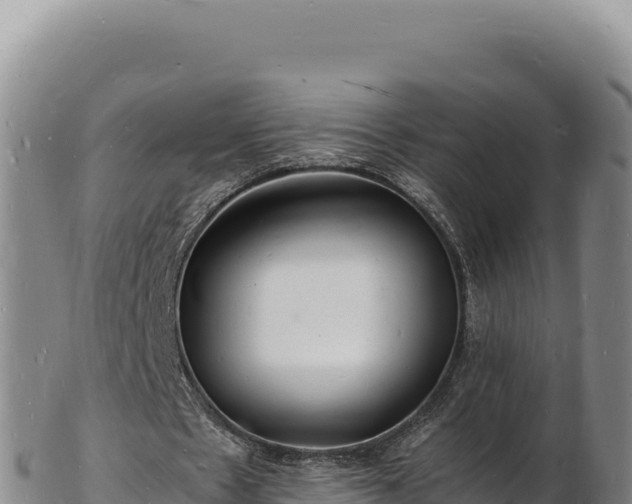 X0000103250481200809041112