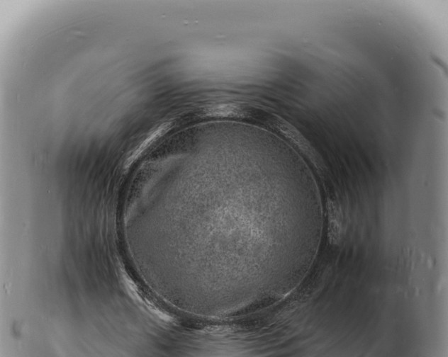 X0000103250482200809041112