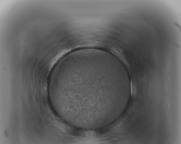 X0000103250483200809041112