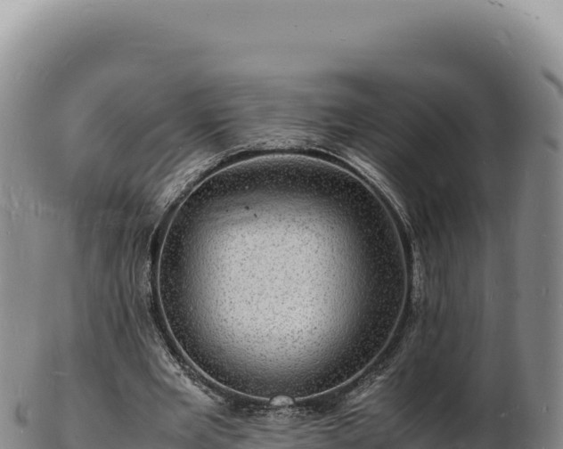 X0000103250485200809041112