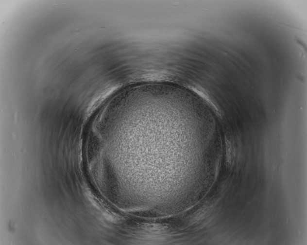 X0000103250486200809041112