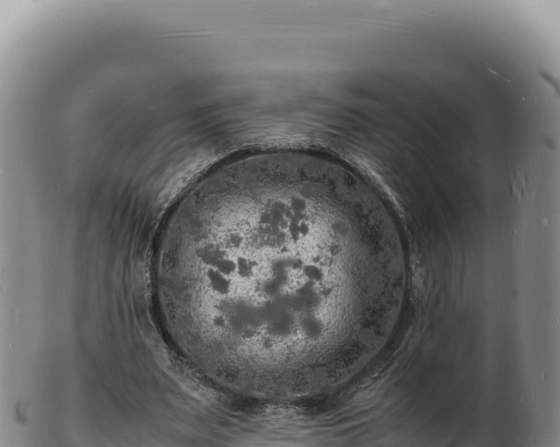 X0000103250487200809041112