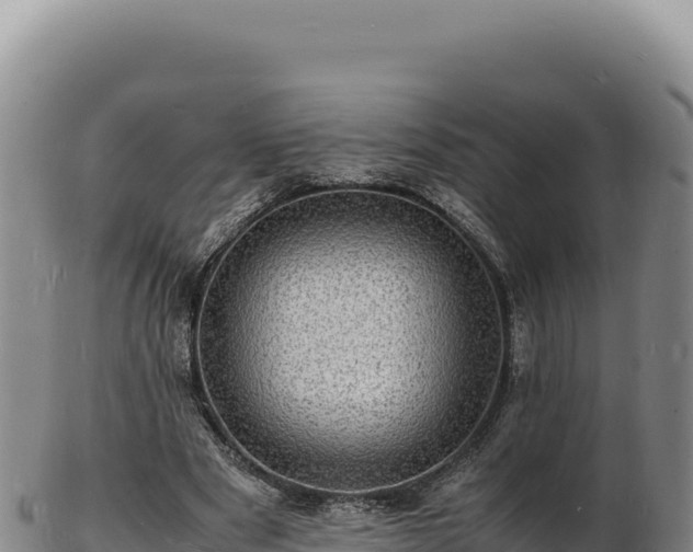 X0000103250489200809041112