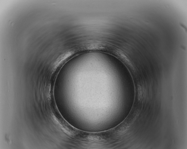 X0000103250490200809041112