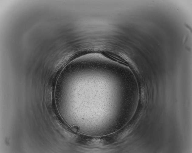 X0000103250493200809041112