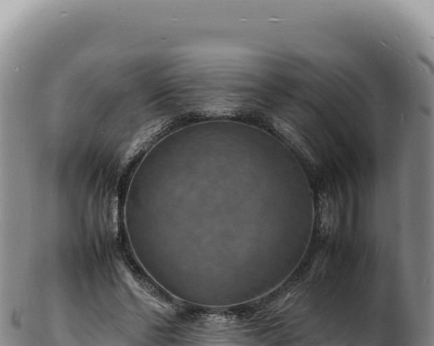 X0000103250494200809041112