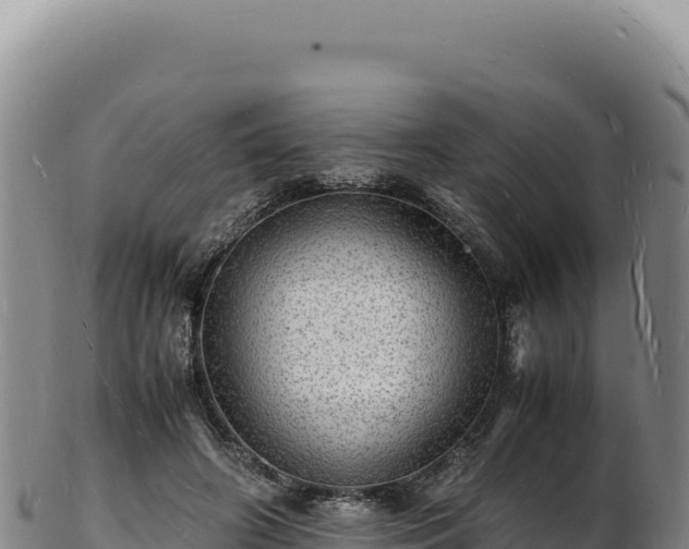 X0000103250498200809041112